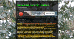 Desktop Screenshot of boruvky.vinnareva.com